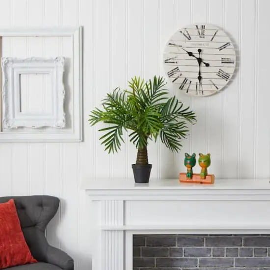 2ft. Robellini Palm Tree in Black Planter {5}