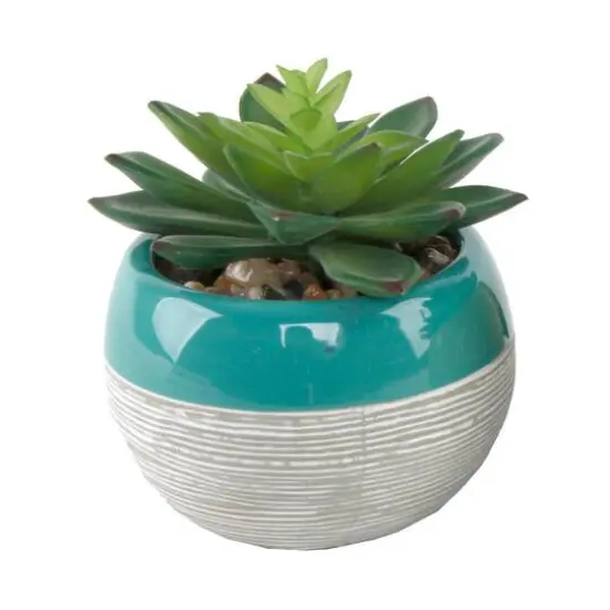 Flora Bunda&reg; Succulent In Two Tone Pattern Teal Ceramic Pot  {1}