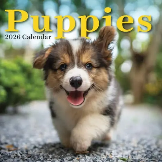 2026 Puppies Wall Calendar {1}