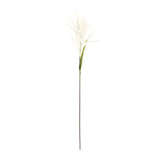 34" White Astilbe Stems, 6ct. {3}