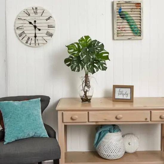 2ft. Monstera Plant in Glass Vase {6}