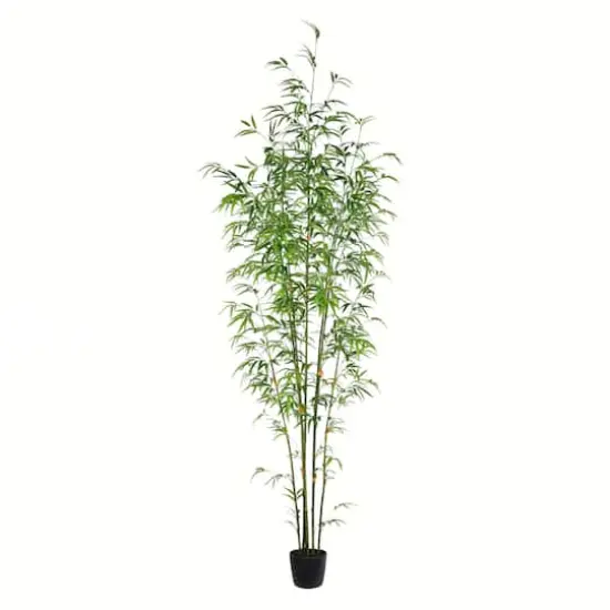 7ft. Potted Mini Bamboo Tree {1}