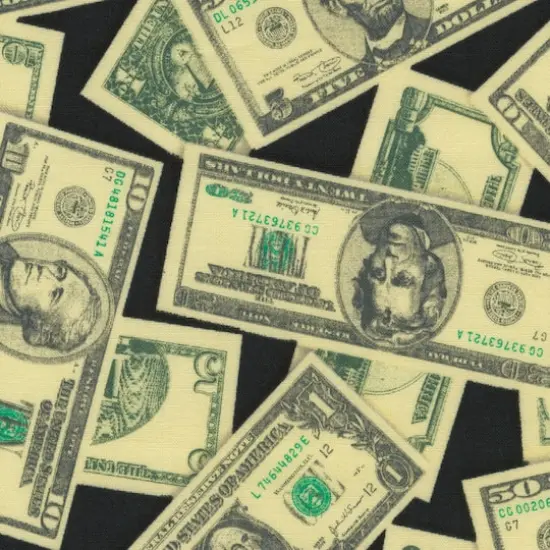 Robert Kaufman Money US Dollars Cotton Fabric {1}