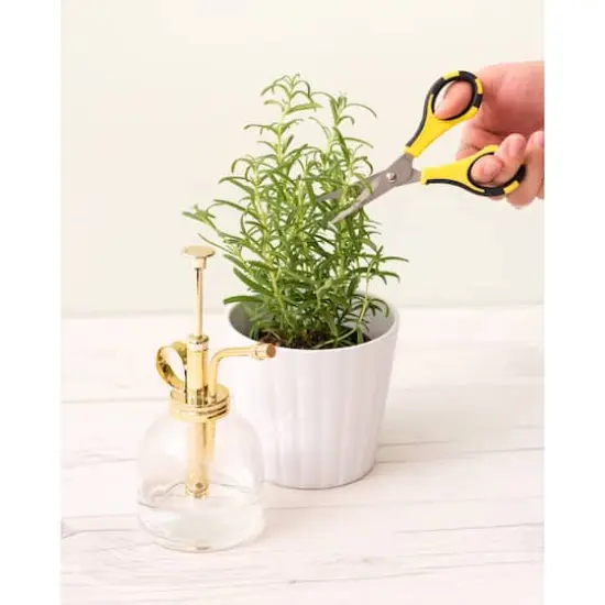 American Crafts&trade; Cutter Bee&trade; Herb Scissors {4}