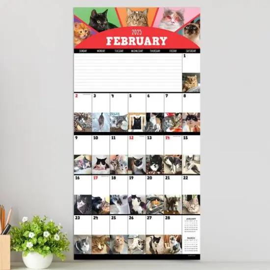 TF Publishing 2025 Cat-a-Day Wall Calendar {4}