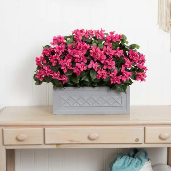 2.5ft. Pink Bougainvillea in Stone Planter {3}