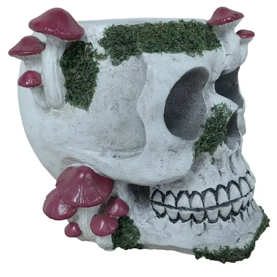 6.5" Mushroom Skull Container by Ashland&reg; {3}