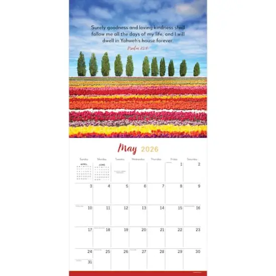 2026 Psalms Wall Calendar {3}