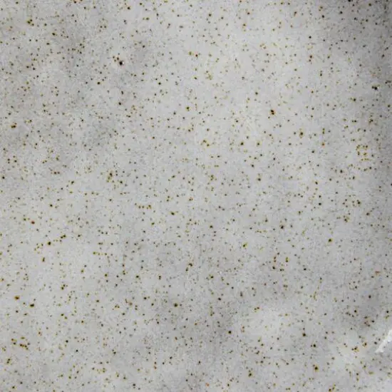 Hello Honey&reg; 5" White Speckled Stoneware Organic Shaped Footed Dish {8}