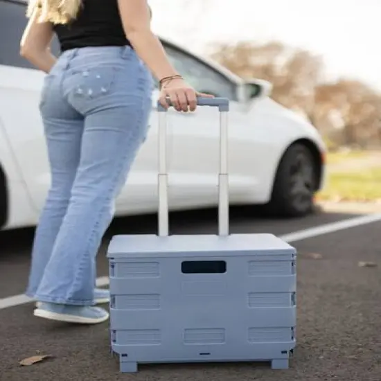 Everything Mary Blue Plastic Collapsible Cart Organizer {10}
