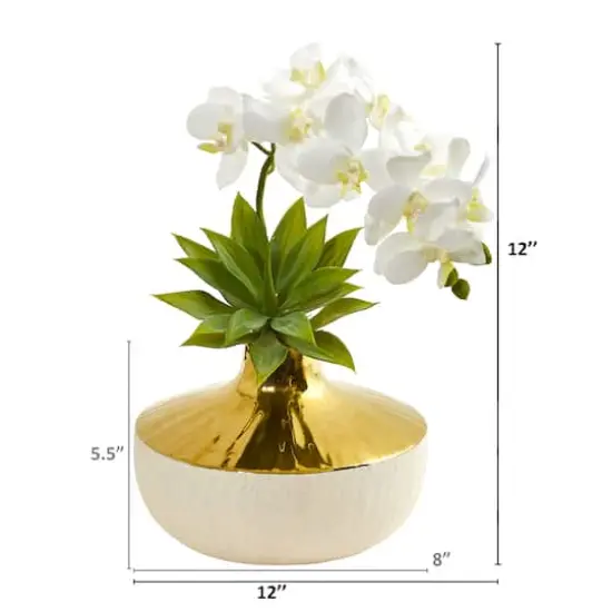 12" Moth Orchid & Agave Arrangement in Decorative Vase White {3}