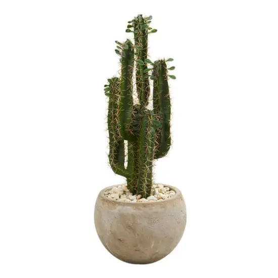 2.5ft. Cactus in Bowl Planter {1}