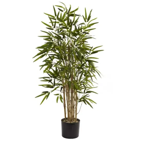 3.5ft. Potted Twiggy Bamboo Tree {1}