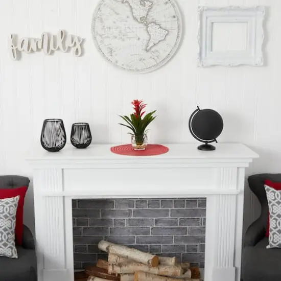 12" Red Bromeliad Arrangement in Glass Vase {6}