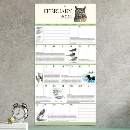 TF Publishing 2024 What It's Like To Be A Bird Wall Calendar {5}