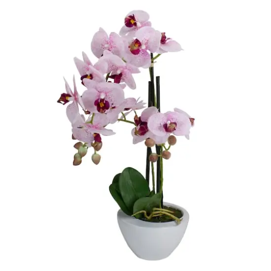21" Pink & White Orchid Plant in White Pot {4}