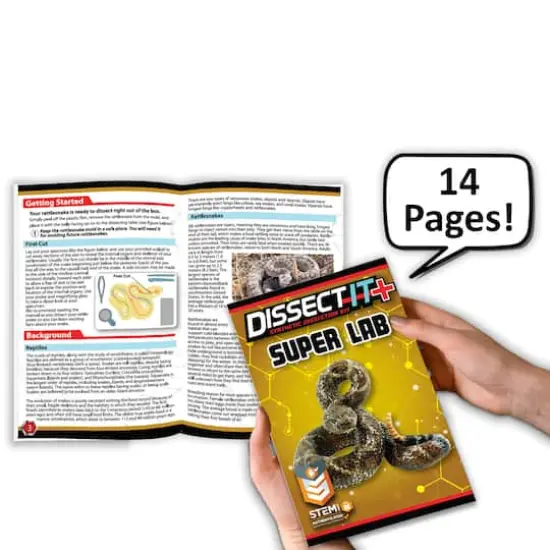 Dissect It Rattlesnake Super Lab Kit {8}