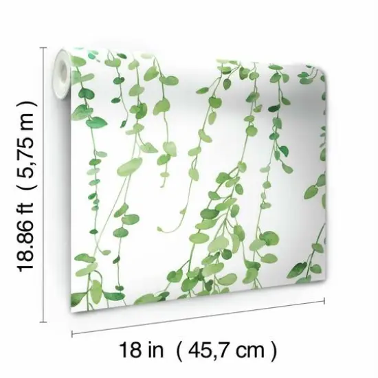 RoomMates Hanging Watercolor Vines Peel & Stick Wallpaper White and Green {6}