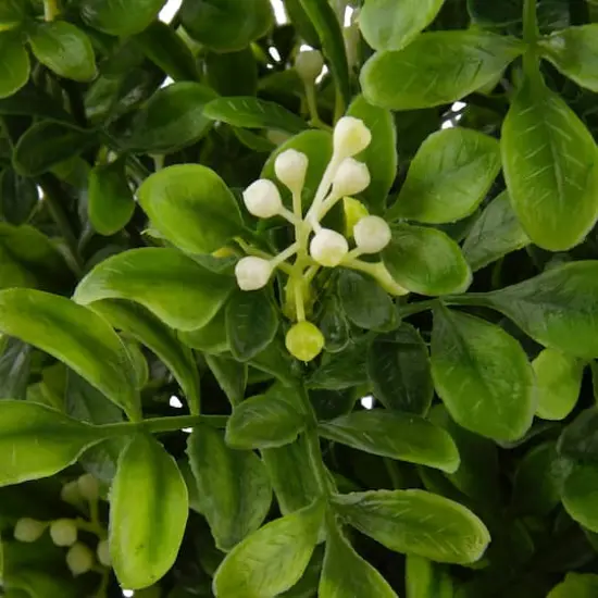 Boxwood & Berry Bush by Ashland&reg; {5}