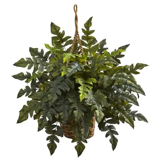 2ft. Holly Fern Hanging Basket {1}