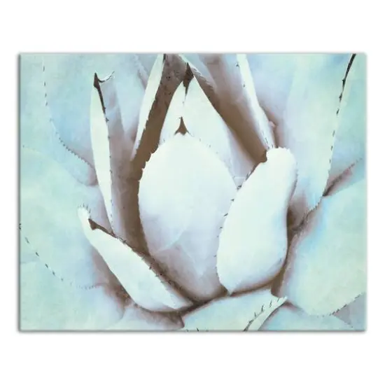 Green Succulent 20" x 16" Canvas Wall Art {1}