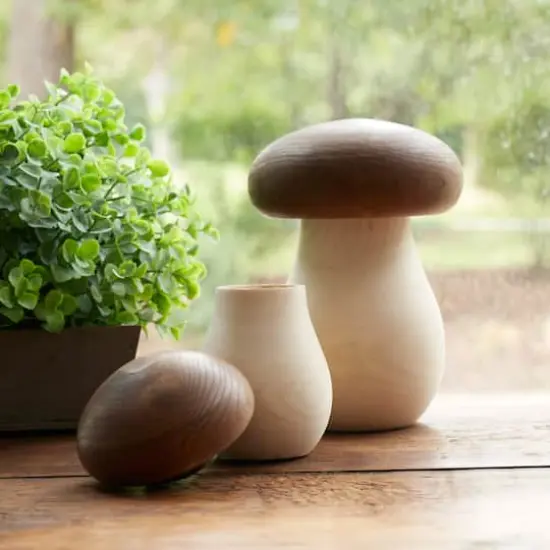 Wood Mushroom Box D&eacute;cor Set {3}
