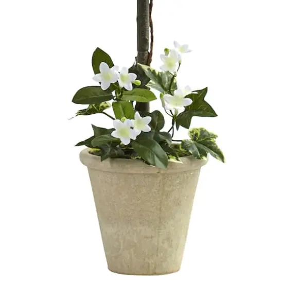 3ft. White Stephanotis Topiary In Planter {4}