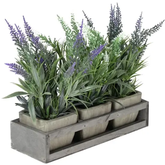 10.25" Lavender in Petite Planter with Distressed Wood Tray {3}