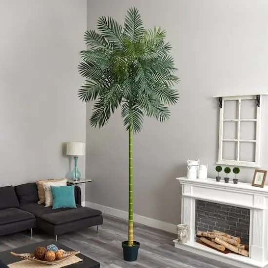10ft. Potted Golden Cane Palm Tree {4}
