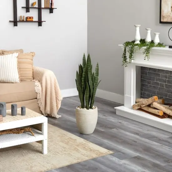 3ft. Snake Plant in Sand Colored Planter {5}