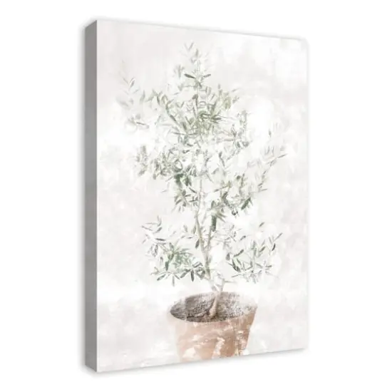 Washed Olive Tree 20" x 30" Canvas Wall Art {3}