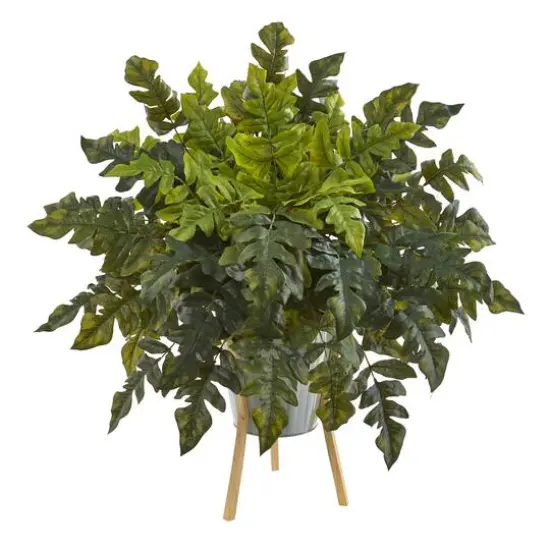2ft. Holly Fern Plant in Green Planter with Stand {1}