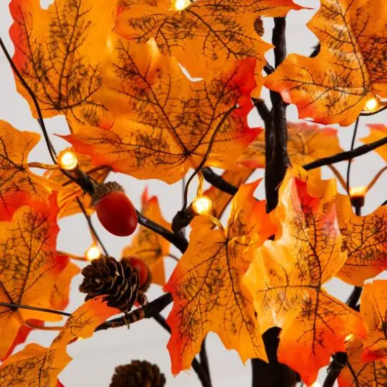 2ft. Pre-Lit Autumn Maple Artificial Fall Tree with Acorns & Pinecones and 18 Warm White LED Lights {5}