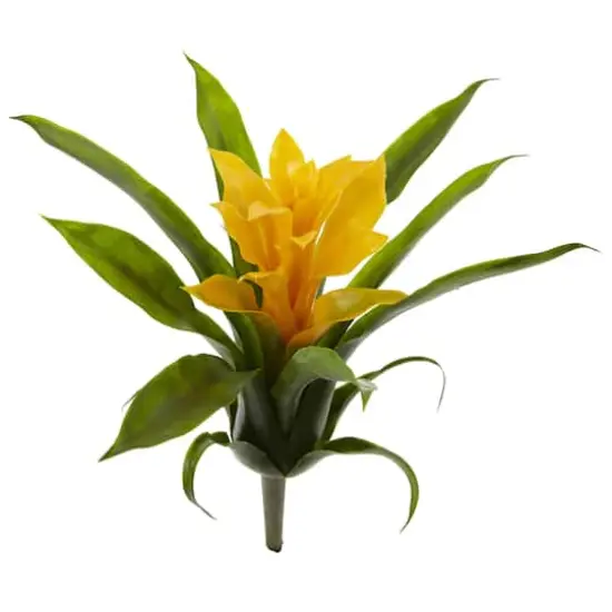 Yellow Bromeliad Flower, 6ct. {5}