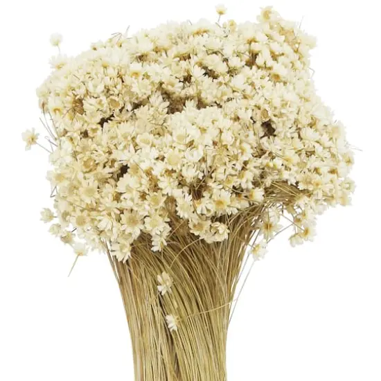 13" Natural Campo Flowers by Ashland&reg; {3}