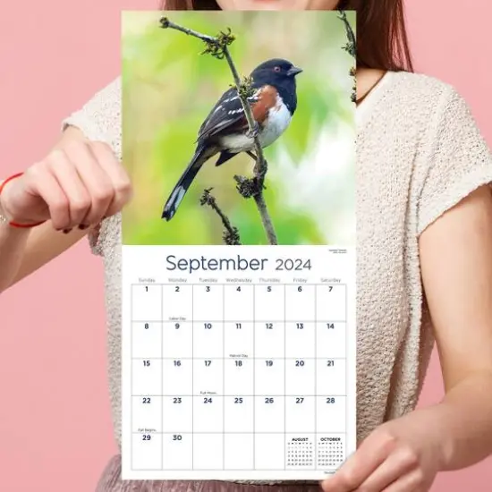 TF Publishing 2024 Backyard Birds Mini Calendar {6}