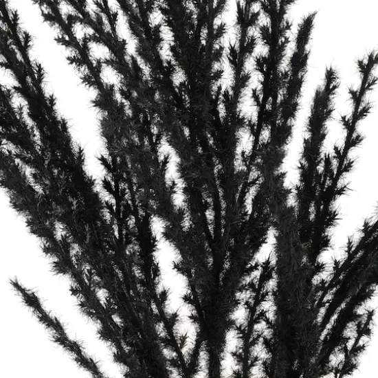 31" Black Pampas Grass Stem by Ashland&reg; {3}
