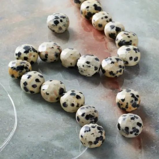 Faceted Dalmatian Jasper Coin, 8mm by Bead Landing&trade; {3}