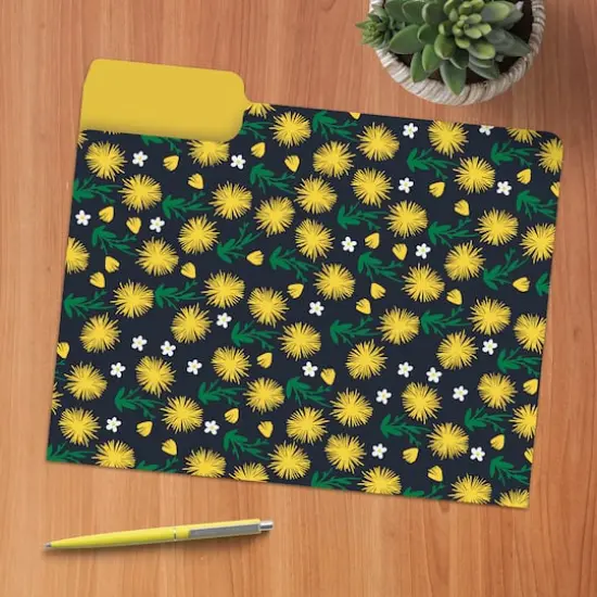 Joy Designer File Folder Set {4}