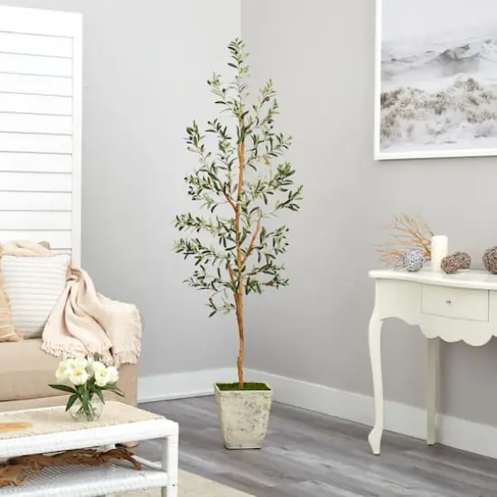 6ft. Olive Artificial Tree in Country White Planter {5}