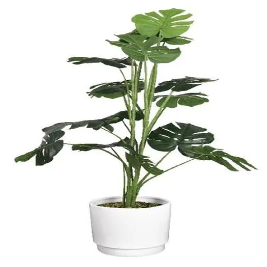 American Art Decor 4ft. Monstera Tree in White Ceramic Pot {1}