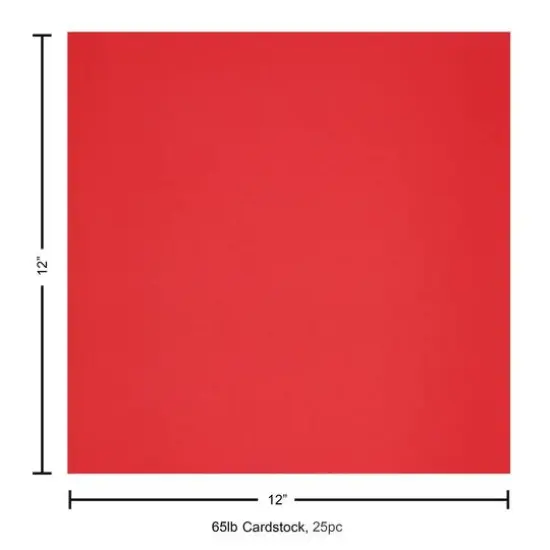 PA Paper&trade; Accents 12" x 12" 65lb. Smooth Cardstock, 25 Sheets Ladybug {5}