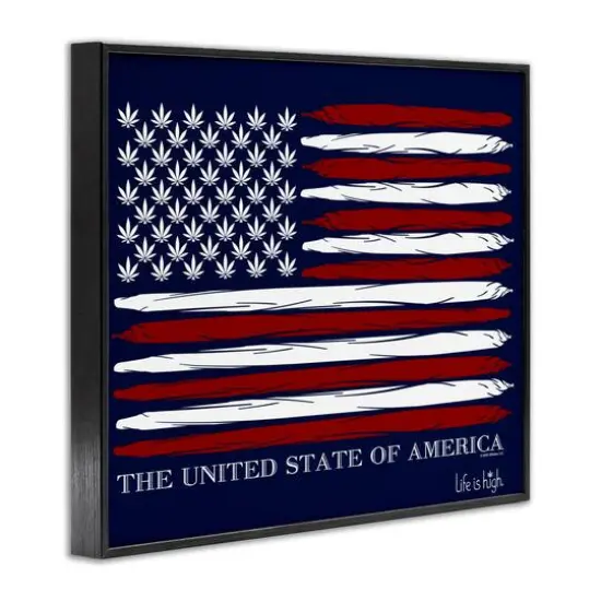 Stupell Industries Herb America Flag Framed Giclee Art Black {4}