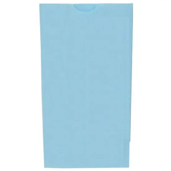 JAM Paper Baby Blue Medium Kraft Lunch Bags, 500ct. {3}