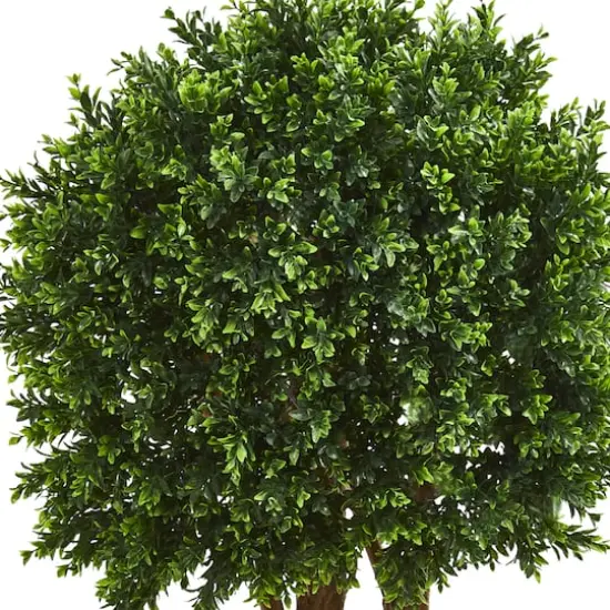 4ft. Boxwood Topiary Tree in Planter {3}