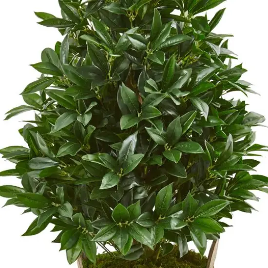 3.5ft. UV Resistant Bay Leaf Cone Topiary Tree in Farmhouse Planter {3}