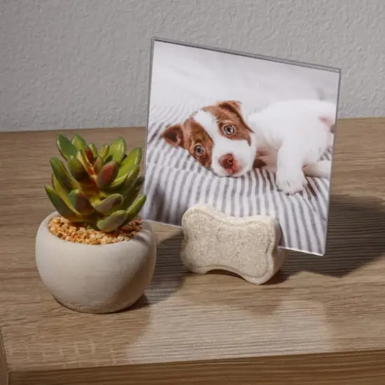 4" x 4" Ivory Bone Photo Holder by Studio D&eacute;cor&reg; {5}