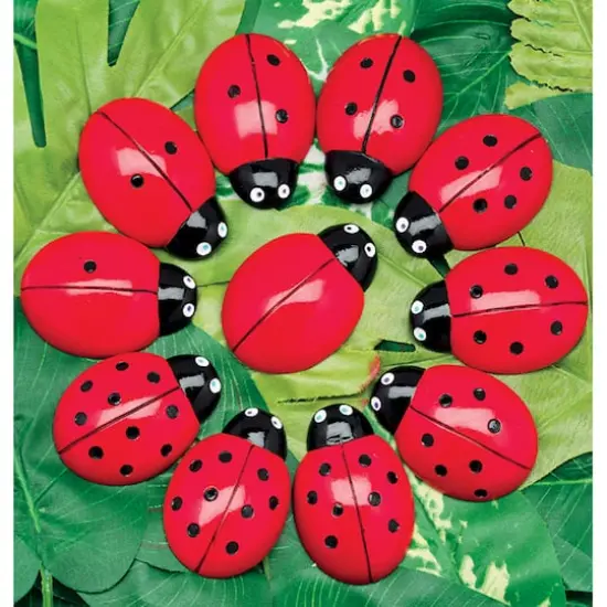 Yellow Door Ladybugs Counting Set, 22ct. {3}