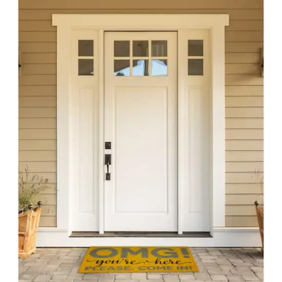 OMG You're Here Doormat 18" x 30" {3}
