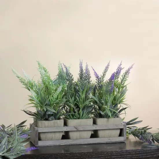 10.25" Lavender in Petite Planter with Distressed Wood Tray {4}